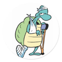 Swamp Turtle Injury Sticker