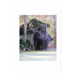 Swamp Waterfall