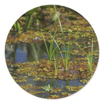 Swamps Lake stickers by lifesphere Swamps Lake stickers