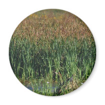 Swamps Reeds magnets by lifesphere Swamps Reeds magnets