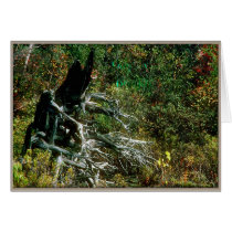 Swampthang # 2 cards