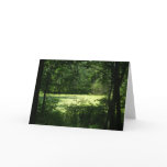 "Swampy Pond at Swallow Hollow" Cards