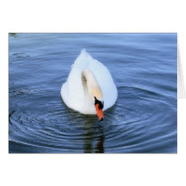 Swan #2 cards