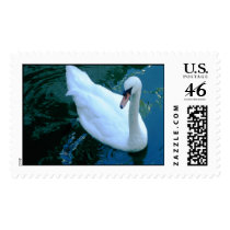 SWAN A SWIMMING postage