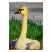 Swan and Cygnet Note Card