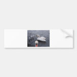 Swan and Gulls Bumper Stickers
