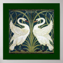 Swan and Rush and Iris wallpaper Posters