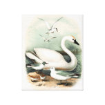 Swan and Sea Gull Art Canvas Canvas Prints