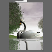 Swan and Willows cards