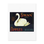 Swan Apples Post Card