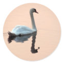 Swan at Sunset Sticker