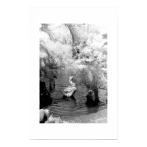 Swan at the Garden of Eden posters by MelanieAmberPearson Swan at the Garden of Eden posters