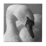 Swan (B&W) tiles