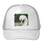 Swan Beak Baseball Hat