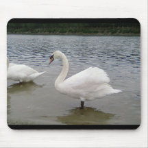 Swan Beautiful Wallpaper Mouse Pad