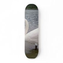 Swan Beautiful Wallpaper skateboards by lifesphere Swan Beautiful Wallpaper skateboards