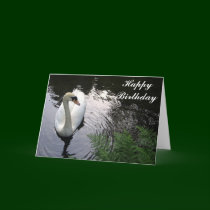 Swan Birthday card