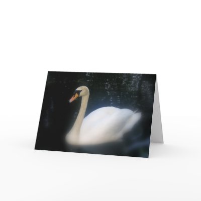 Swan Birthday card by mmersdesign