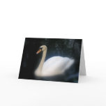 Swan Birthday card