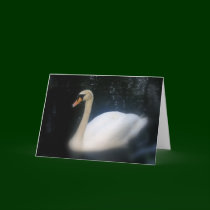 Swan Birthday card