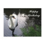 Swan Birthday card Postcard
