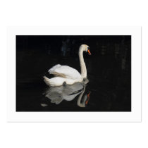 Swan (Bordered) Business Cards