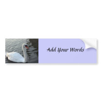 Swan bumper stickers by DonnaGrayson Swan bumper stickers