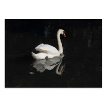 Swan Business Card