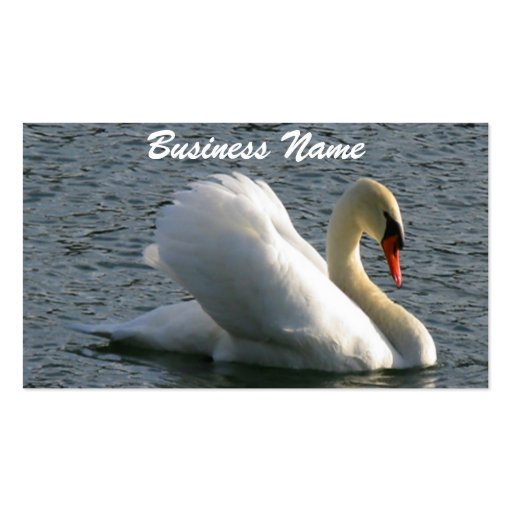 Swan Business Card (front side)