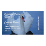 Swan Business Cards