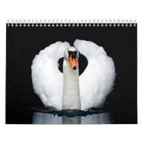 SWAN calendars