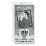 Swan Country Save the Date photo card
