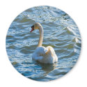 Swan - Customized magnets