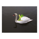 Swan & Faerie posters