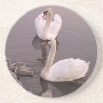 Swan Family Coasters