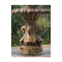 Swan Fountain Postcard by saveena Swan Fountain Postcard