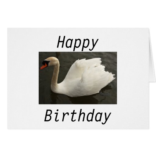 Swan Happy Birthday Card | Zazzle