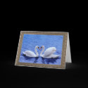 swan heart cards by judymarieswan swan heart cards
