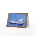 swan heart cards