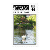 Swan in Boston's Public Garden postage