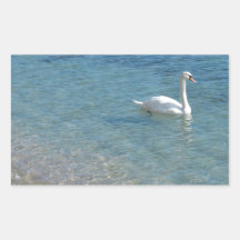 Swan in crystal clear shallow sea water rectangular stickers