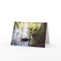 Swan in Shadow cards by RLMdesignes Swan in Shadow cards