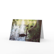 Swan in Shadow cards by RLMdesignes Swan in Shadow cards