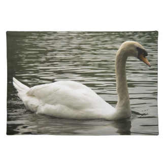 Swan in the Lake
