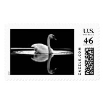 Swan In White postage