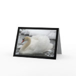 Swan King Card