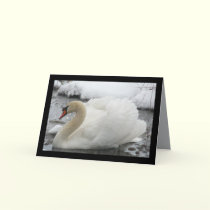 Swan King cards by MoiraAshleigh Swan King cards