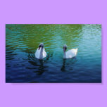 Swan Lake - canvas print