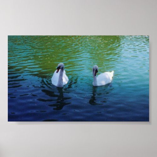 Swan Lake - canvas print print