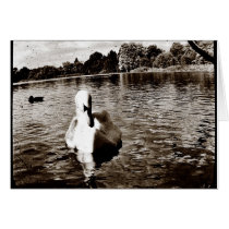Swan Lake cards by Sadandbeautiful Swan Lake cards